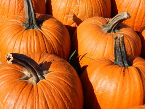 pumpkins