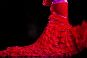 flamenco dancer