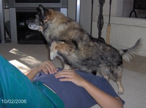 Sprocket Conquers Rich