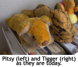 tigger and pitsy