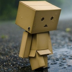 box lady