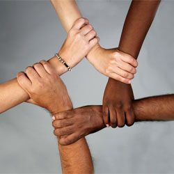 diversity
