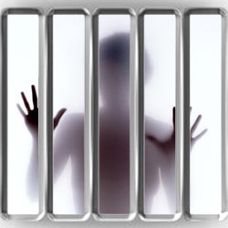 trapped in cage